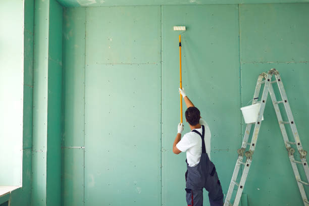 Best Forensic Mold Investigation  in White Island Shores, MA