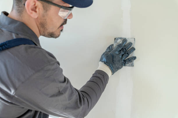 Best Mold Odor Removal Services  in White Island Shores, MA
