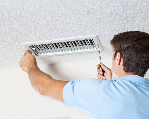 Best Mold Damage Restoration  in White Island Shores, MA