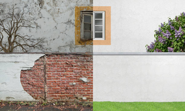 Best Emergency Mold Remediation  in White Island Shores, MA
